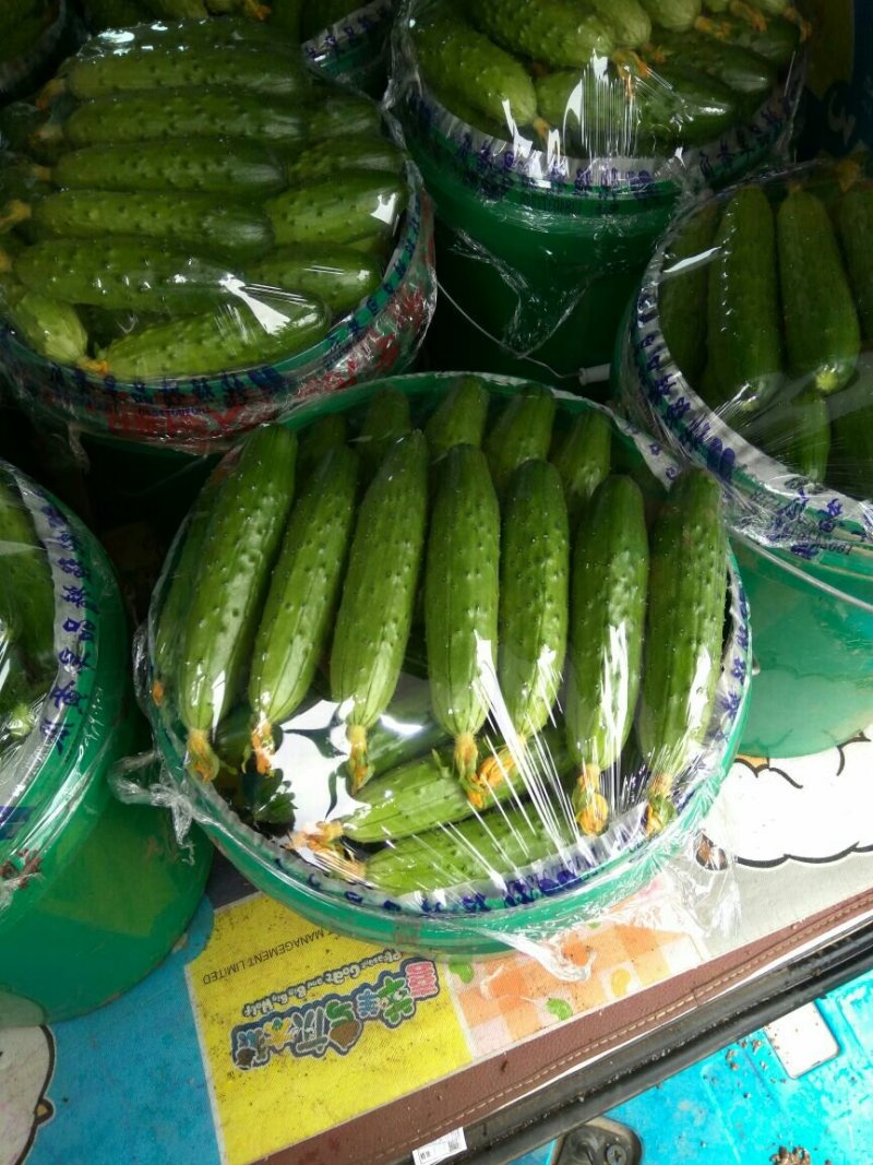 精品旱瓜