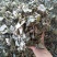金钱草
