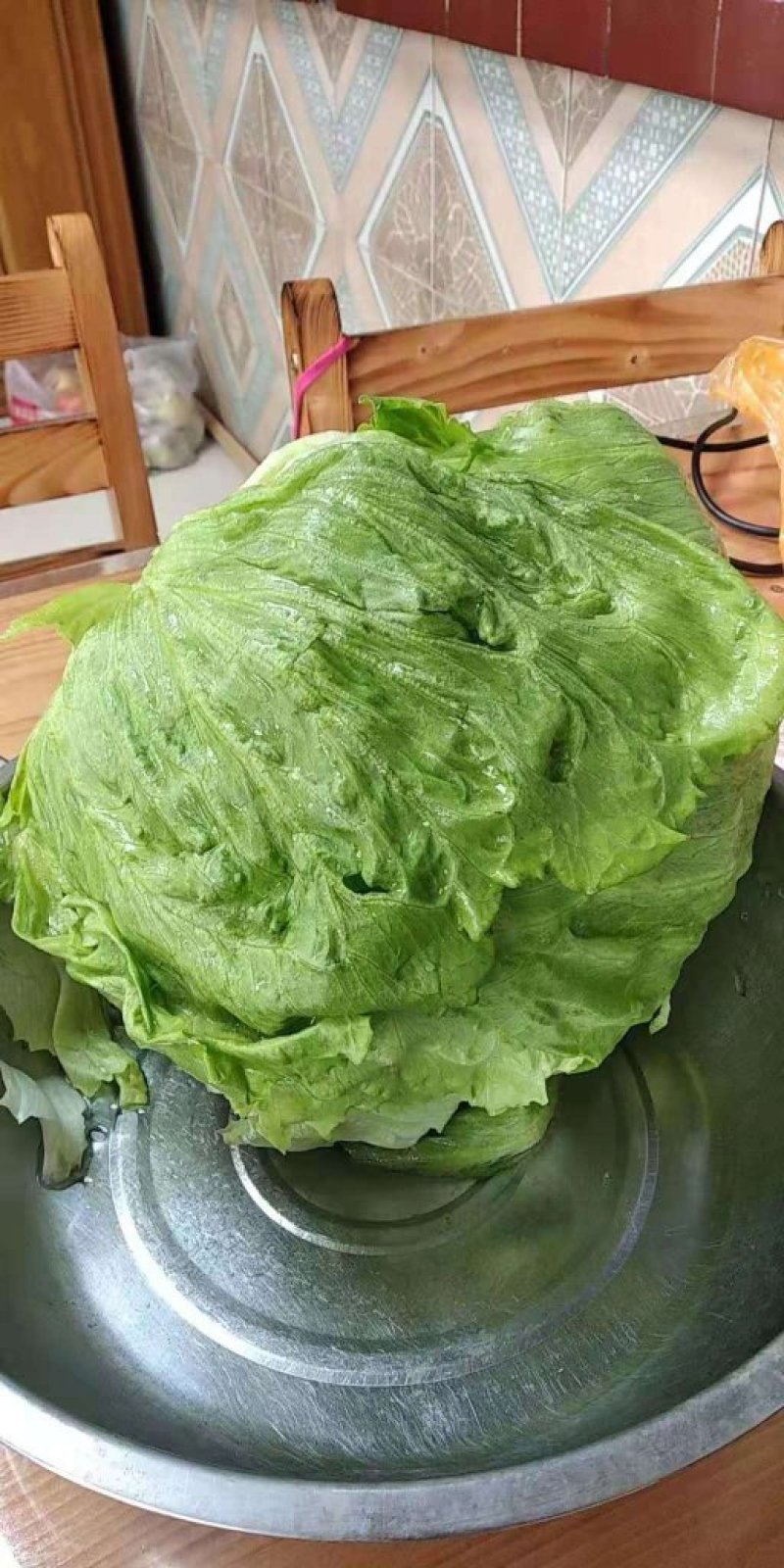 产地精品球生菜质优价廉欢迎选购诚信合作！！！