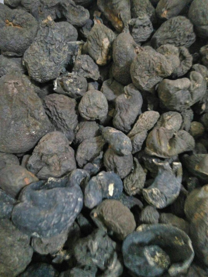 乌灵参，鸡枞蛋，雷震子，产地云南