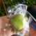 精品台湾大青枣
