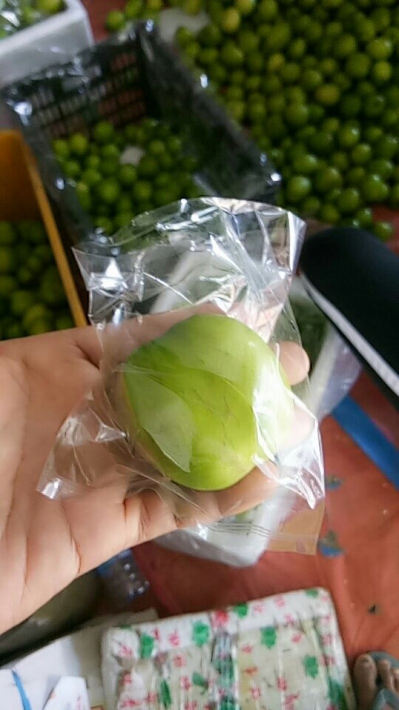 精品台湾大青枣