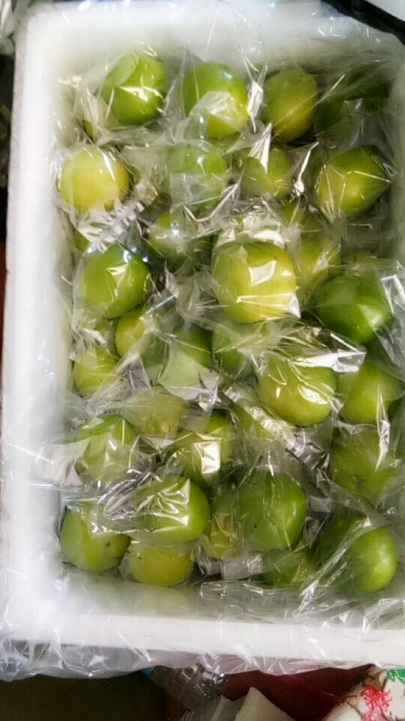 精品台湾大青枣
