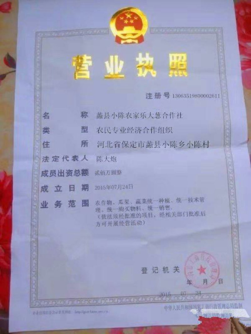 鲜大葱，适合加工厂，价格低，保证杂质少，信誉第一