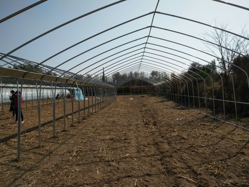 钢架大棚设计专业安装农业种植养殖温室骨架