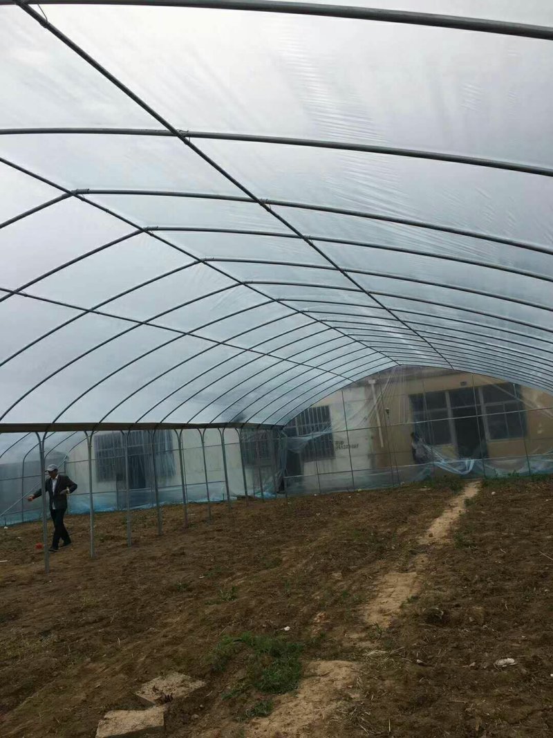 花卉大棚苗木栽培大棚钢架温室