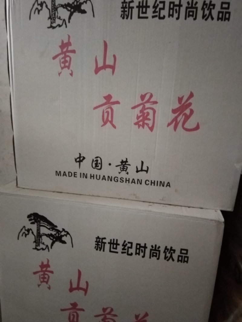 黄山贡菊