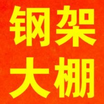 大棚建设单体大棚连栋大棚