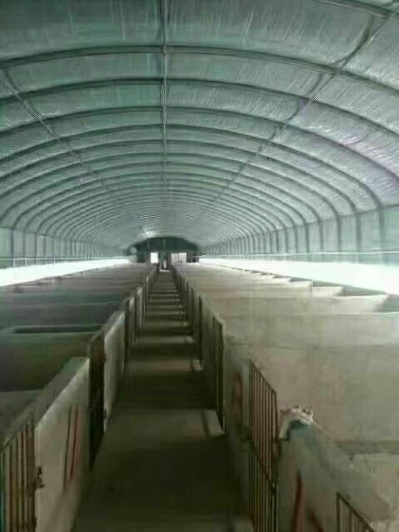 大棚建设单体大棚连栋大棚