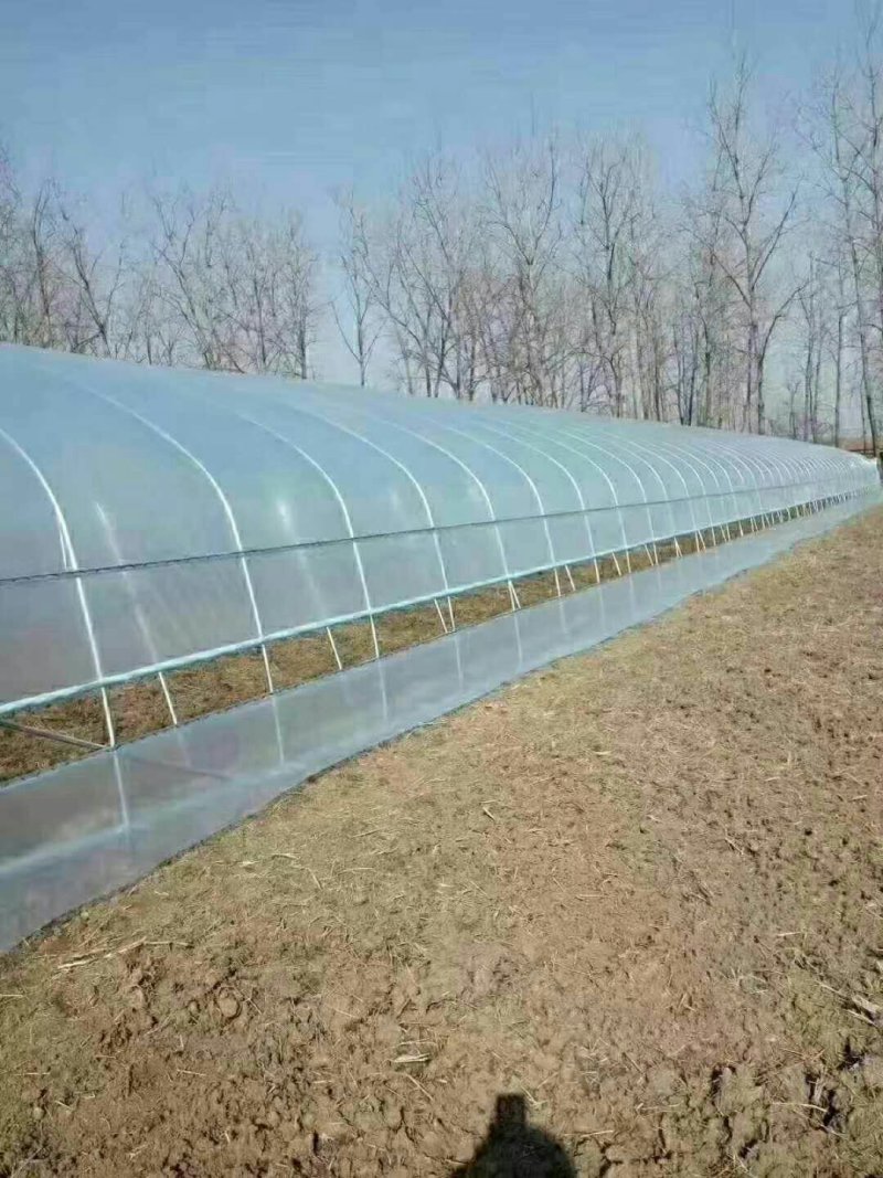 大棚建设单体大棚连栋大棚