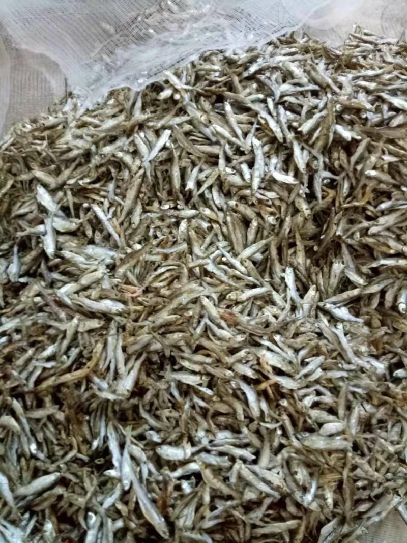 赣江小鱼干