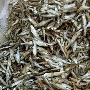 赣江小鱼干
