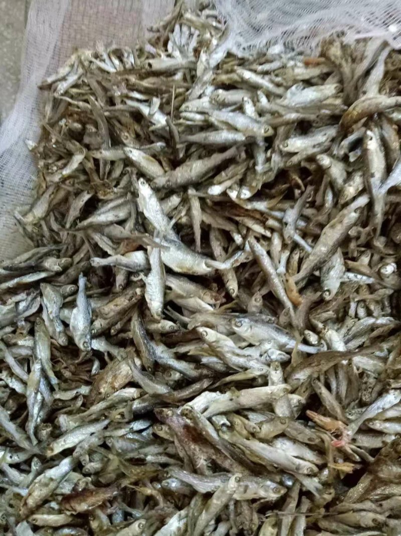 赣江小鱼干