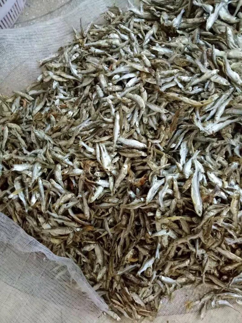 赣江小鱼干