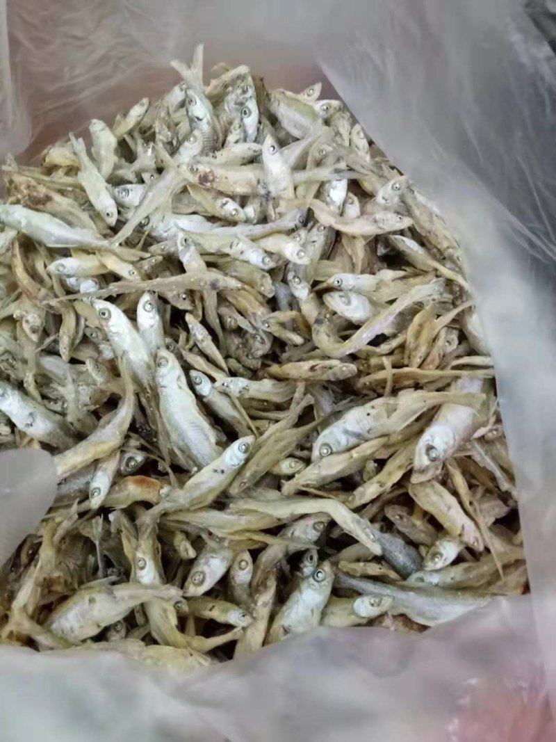 翘白鱼仔干