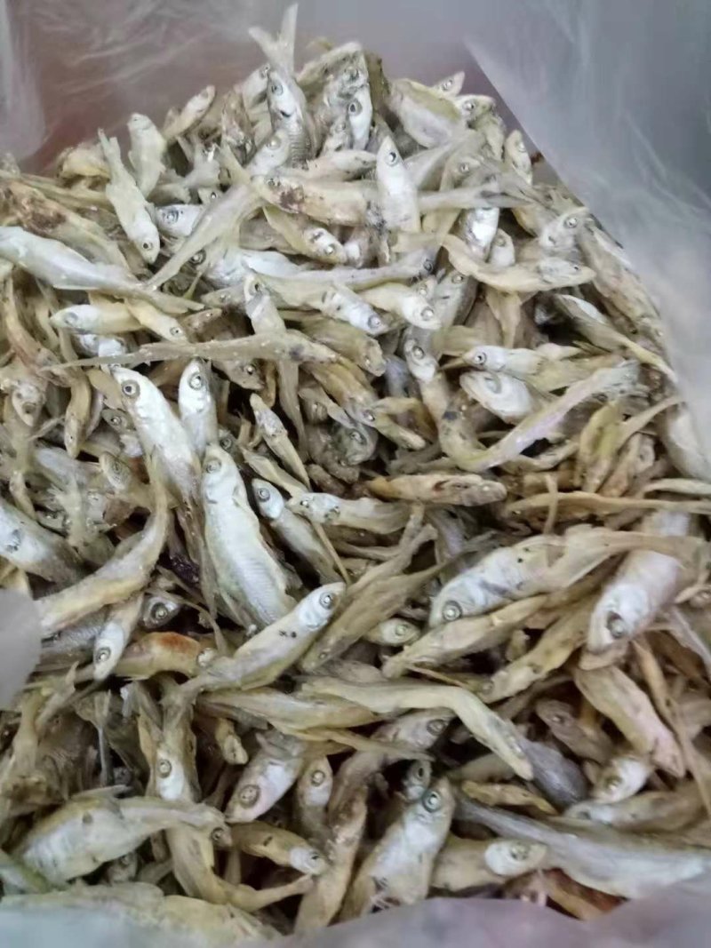 翘白鱼仔干