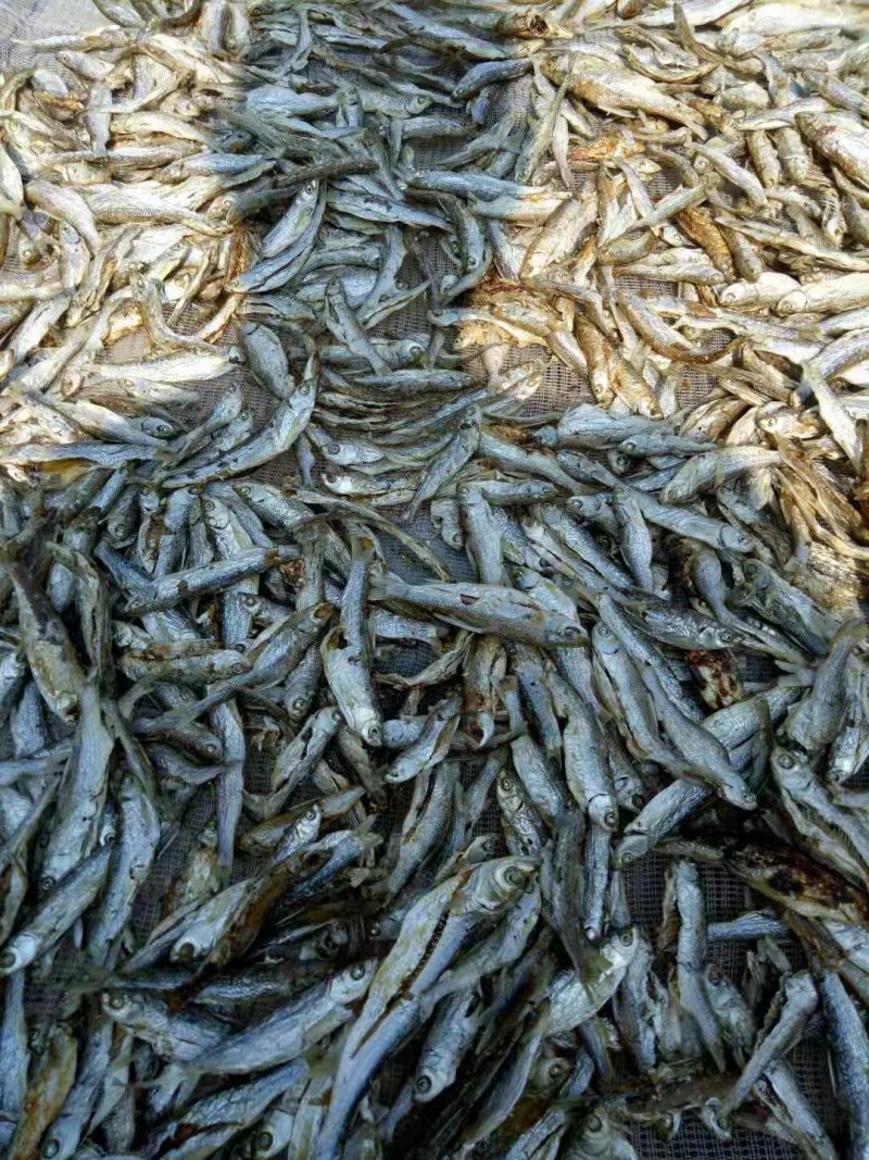 破腹小鱼干