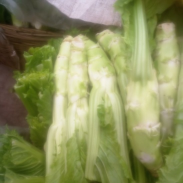 棒青菜