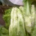 棒青菜