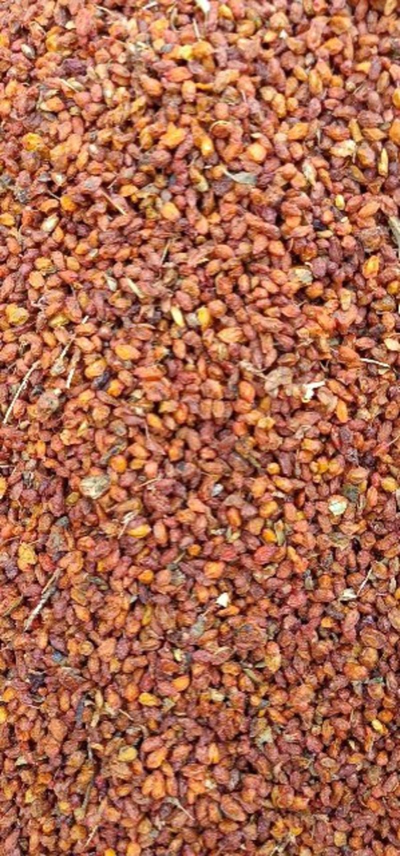 [推荐]新疆沙棘干果野生干果长期供应品质保证