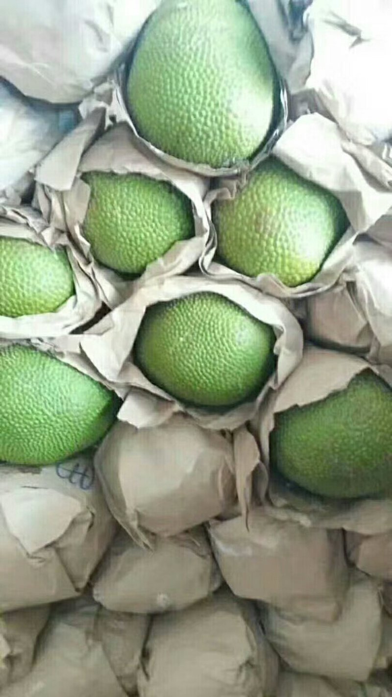 海蜜南椰子。泰国菠萝。