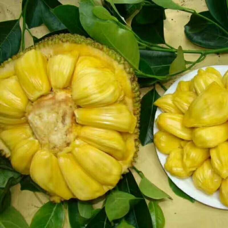 海蜜南椰子。泰国菠萝。