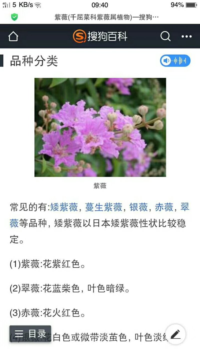 紫薇大量出售