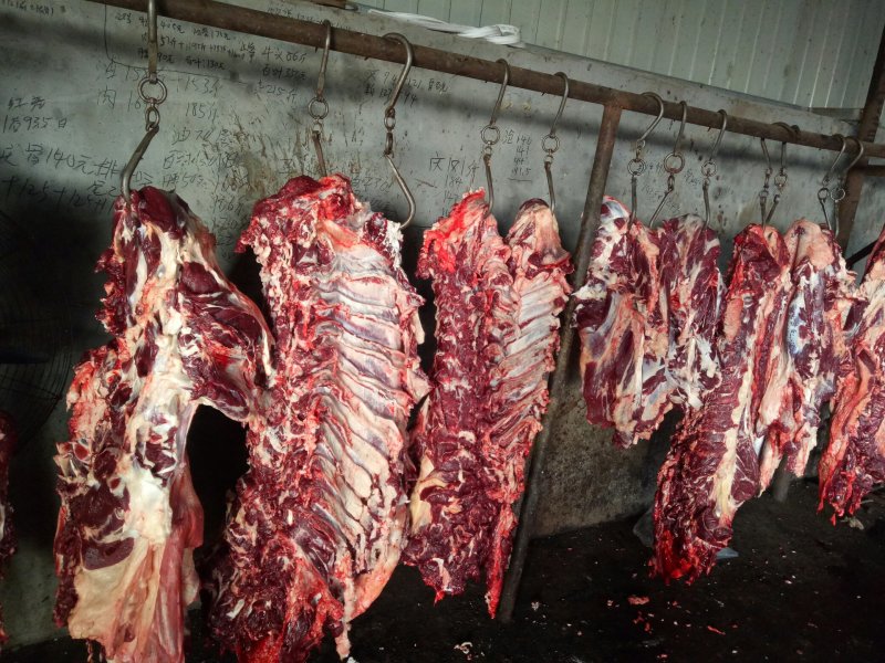 鲜牛肉，公牛肉，国产鲜牛肉，整牛肉，鲜牛肉