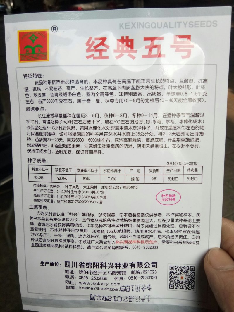 莴笋种子尖叶莴笋种子（科兴经典5号）