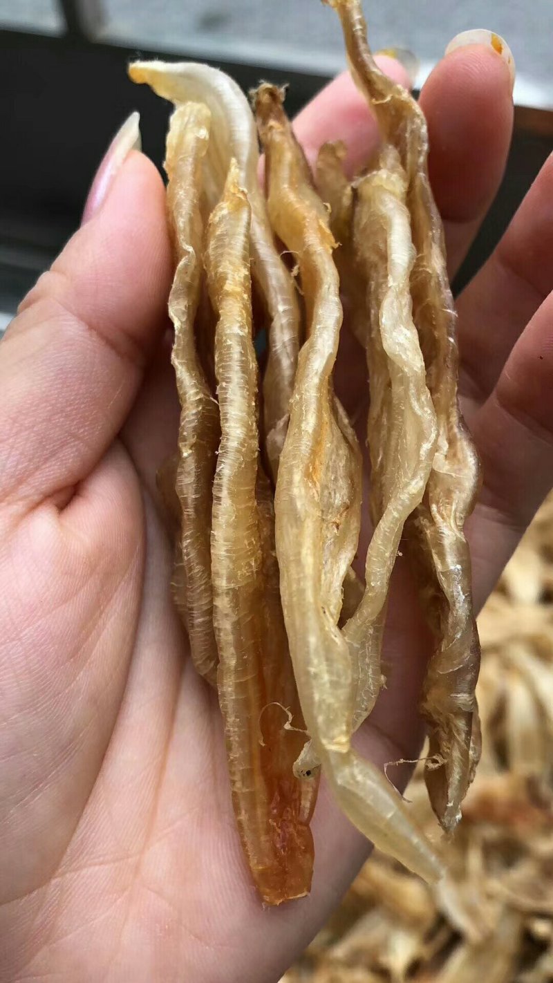 北海鳘鱼胶，清水漂亮