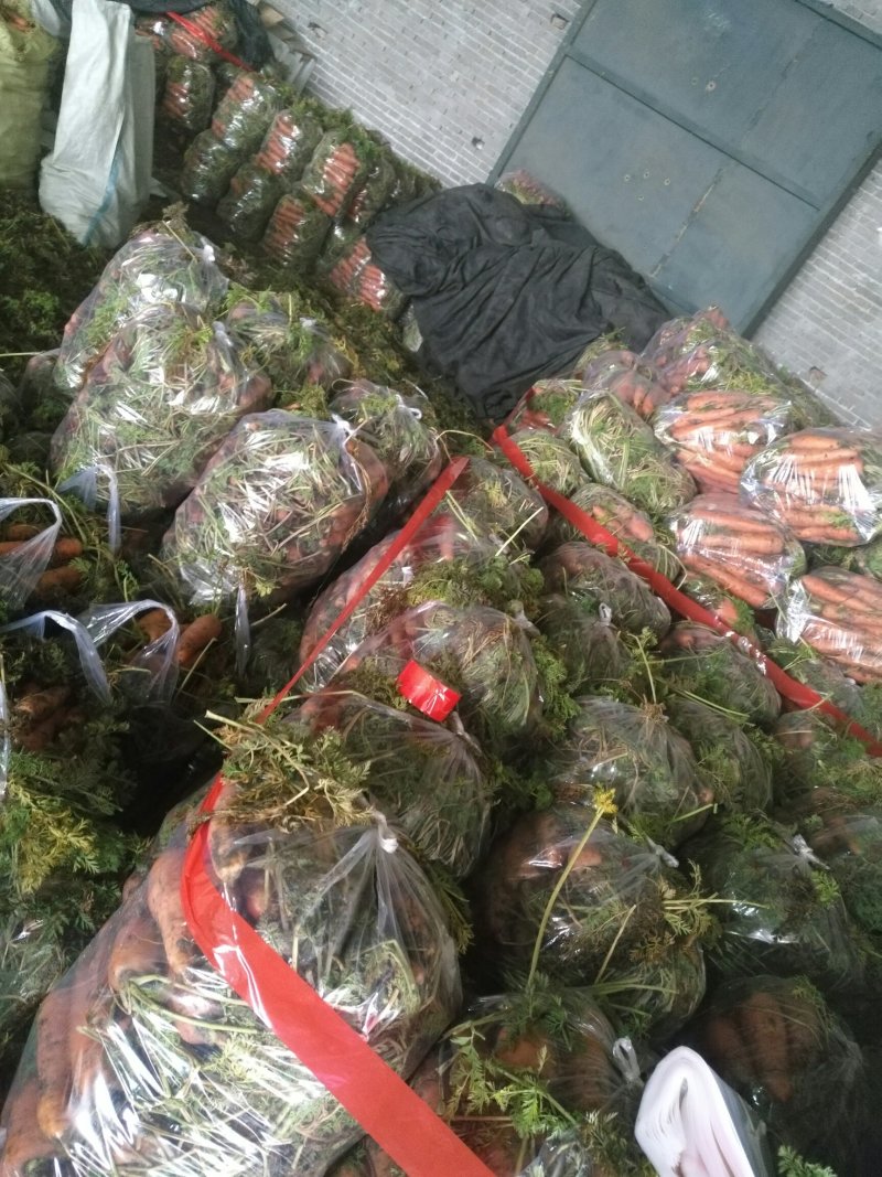 带苗三红萝卜，土货水洗货