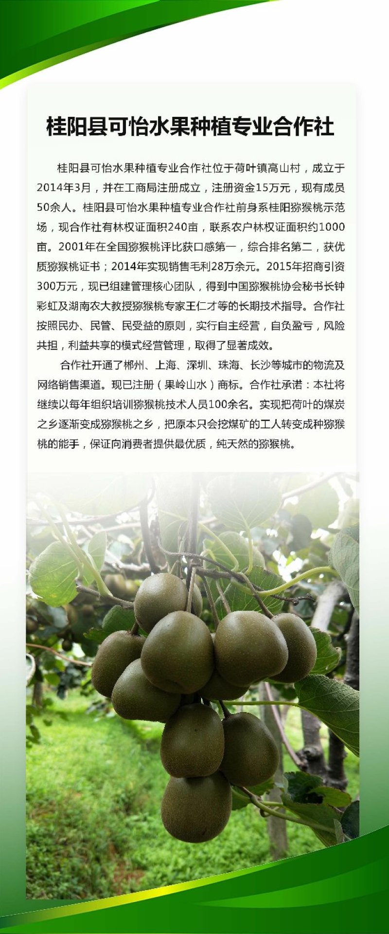 猕猴桃，红心苗木及技术指导