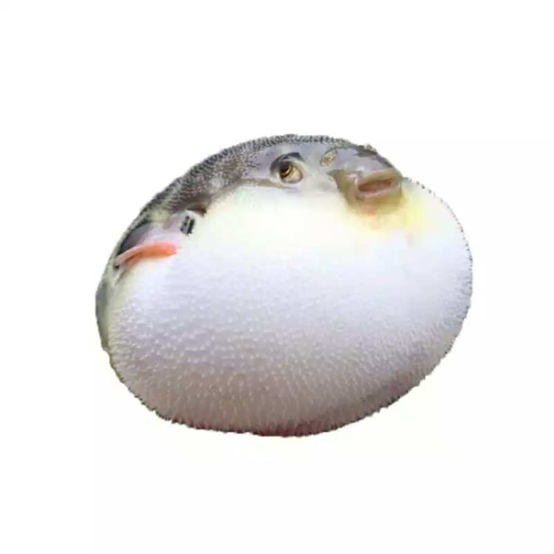 王氏海水养殖