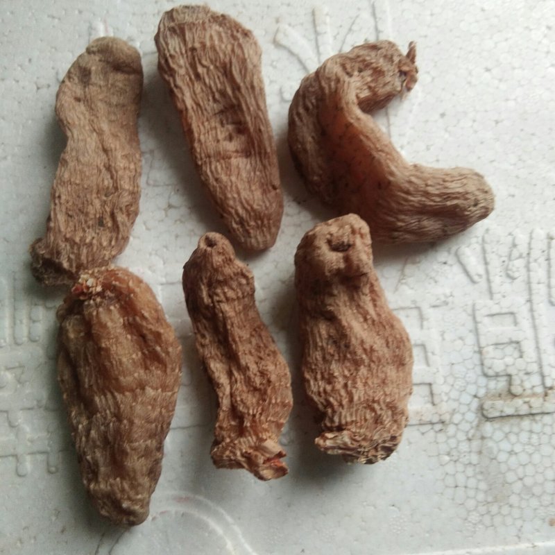 冬天麻