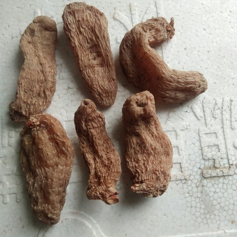 冬天麻