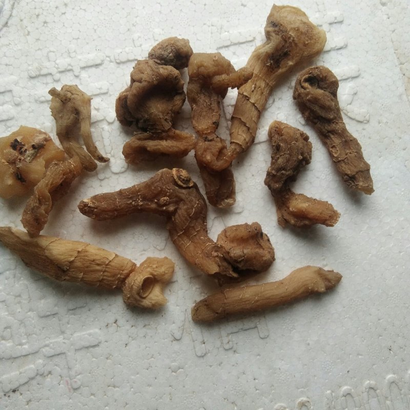 神农架野生干黄精