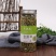 河南封丘金银花金银花茶花茶厂家直供