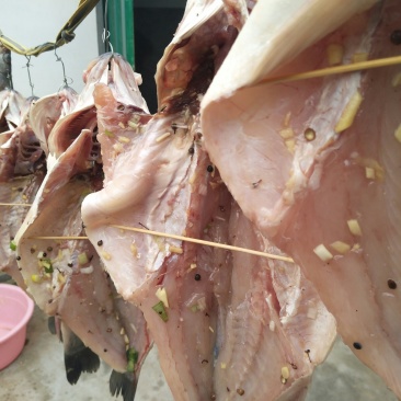 自制风干鲈鱼