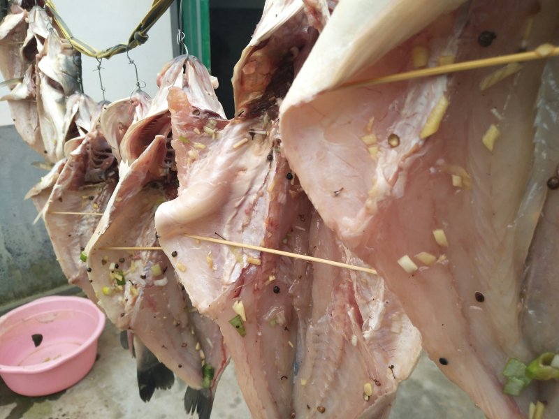 自制风干鲈鱼