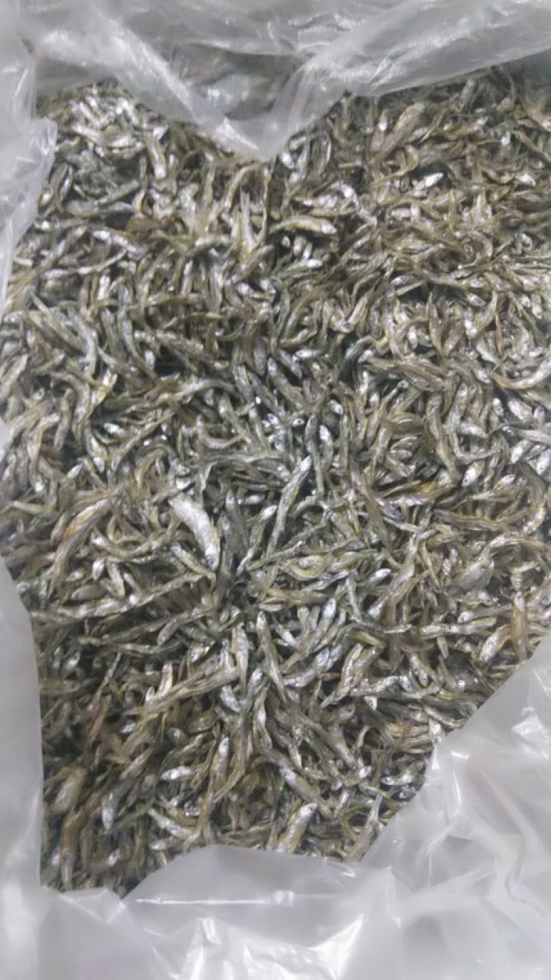 小鱼干/样品/淡水/白条/蓝刀/河鱼干/