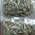 小鱼干/样品/淡水/白条/蓝刀/河鱼干/