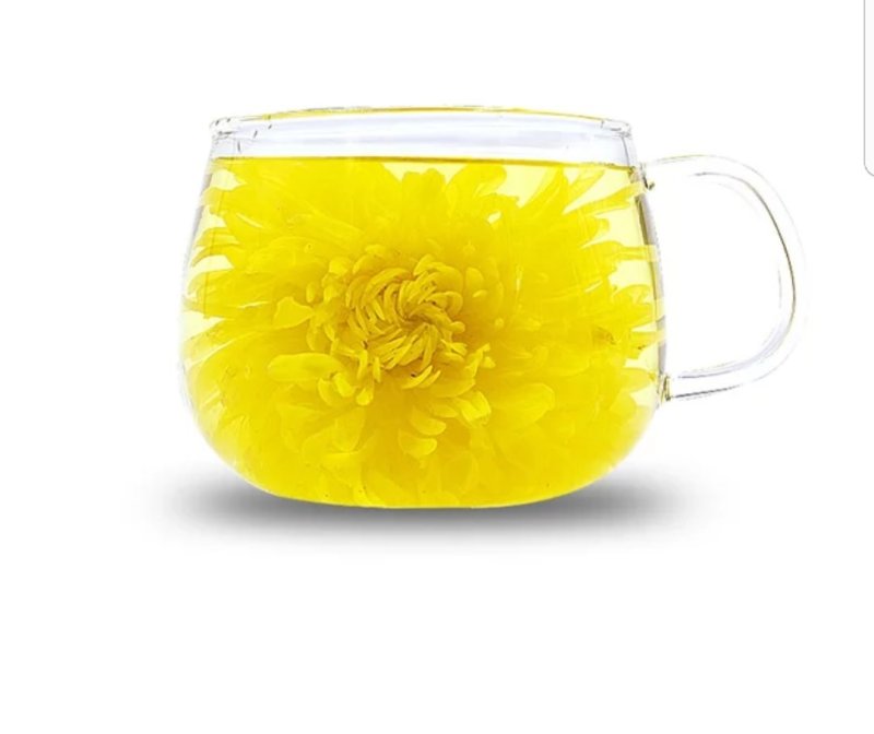 金丝皇菊、高原金丝皇菊、贵安尚菊