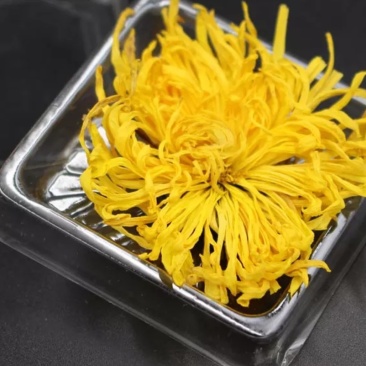金丝皇菊、高原金丝皇菊、贵安尚菊
