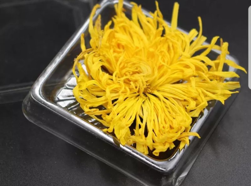 金丝皇菊、高原金丝皇菊、贵安尚菊
