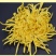 金丝皇菊、高原金丝皇菊、贵安尚菊