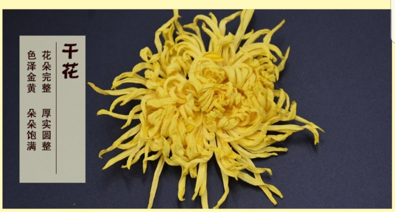 金丝皇菊、高原金丝皇菊、贵安尚菊