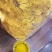金丝皇菊、贵州金丝皇菊、