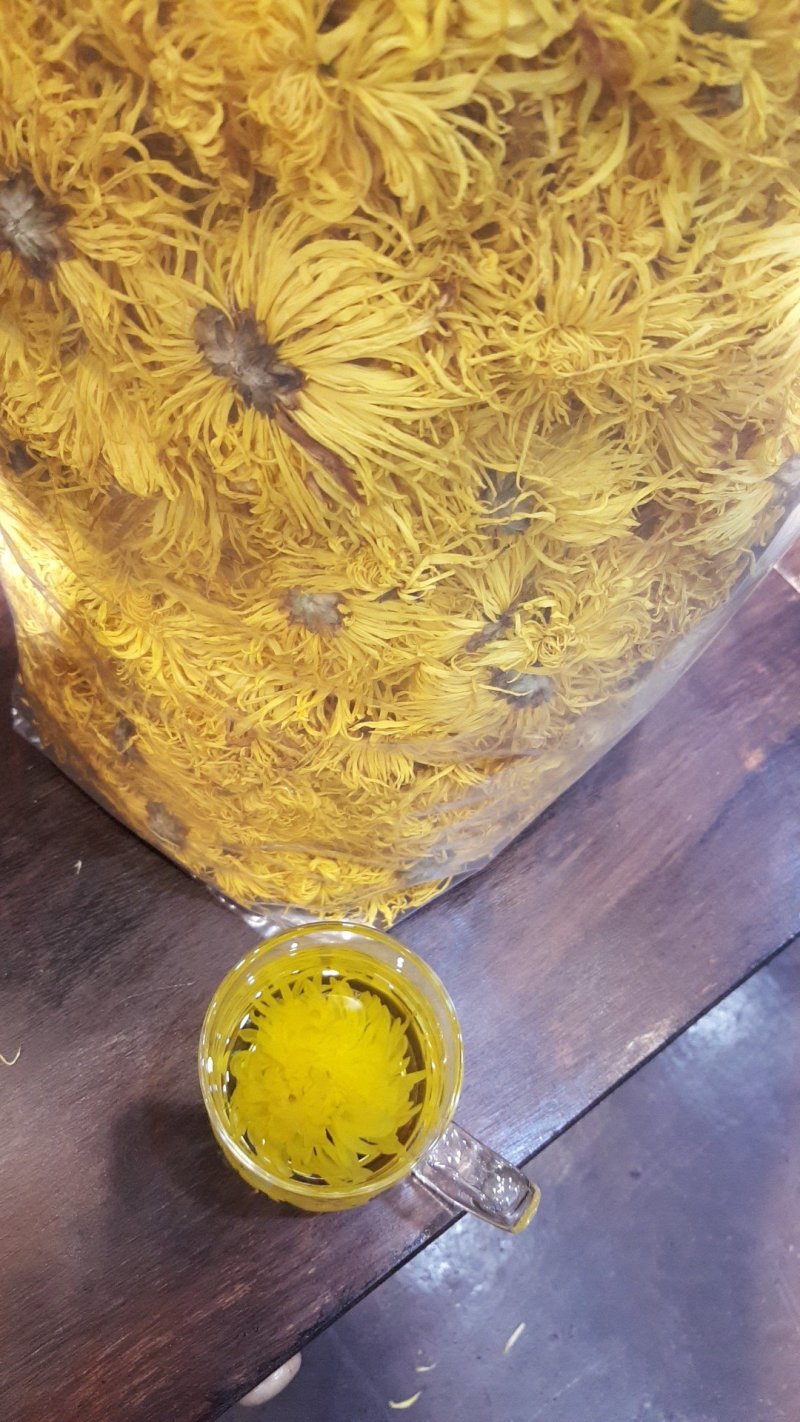 金丝皇菊、贵州金丝皇菊、