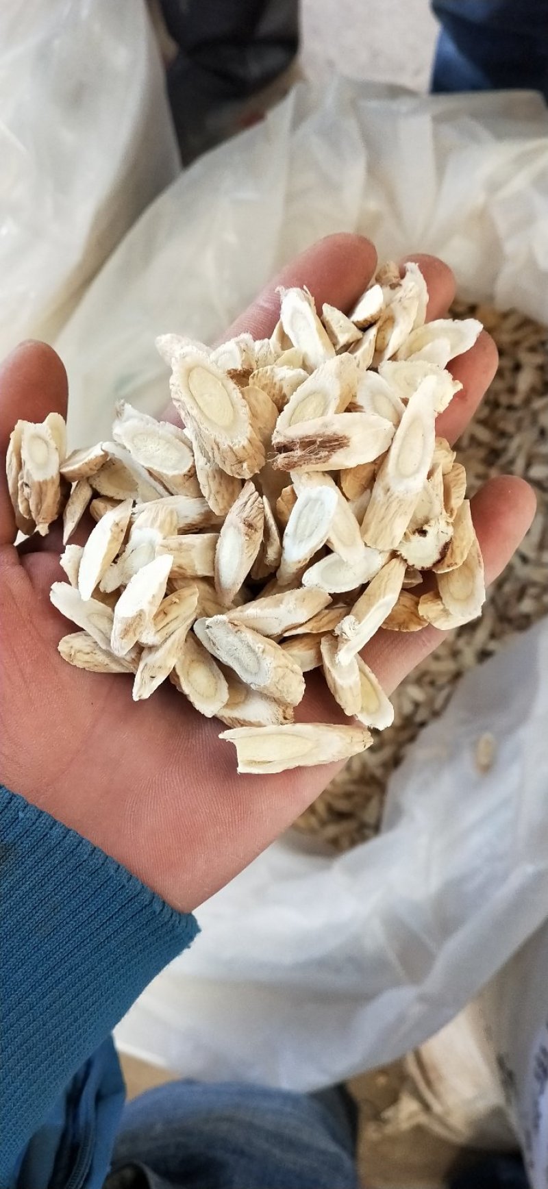 黄芪切片1cm