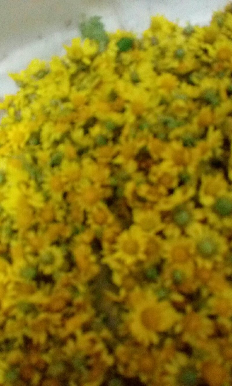 野菊花茶